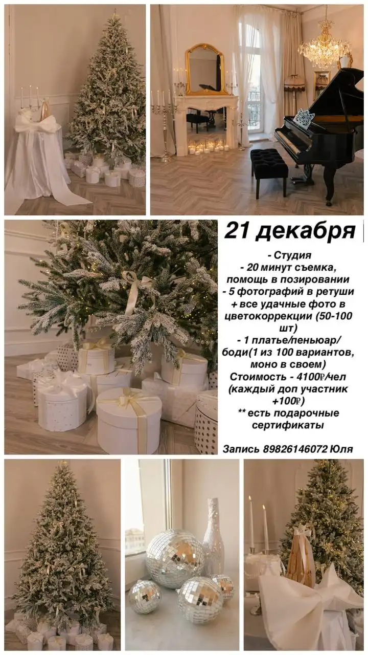 Новогодние фотосессии с фотографом, студией и платьем