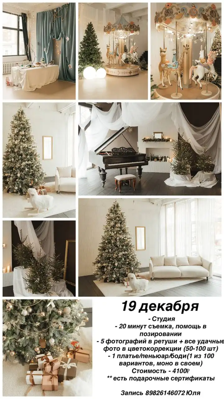 Новогодние фотосессии с фотографом, студией и платьем