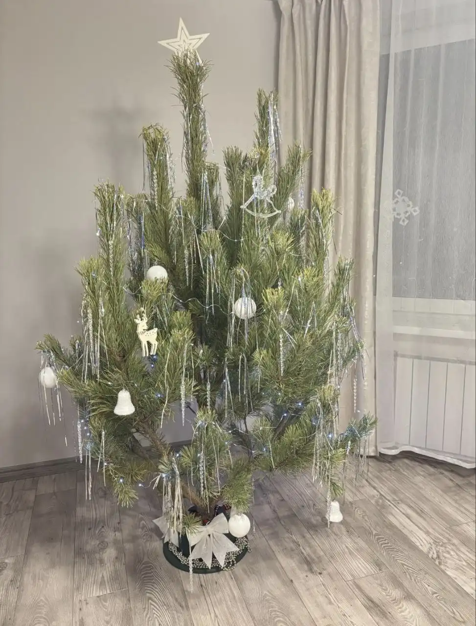 Распродажа новогодних сосен