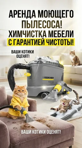 Профессиональная чистка дивана с моющим пылесосом и средствами - Образовательные в Екатеринбург