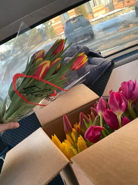 Тюльпанчики в наличии 1001 шт - Лыжное снаряжение в Екатеринбург