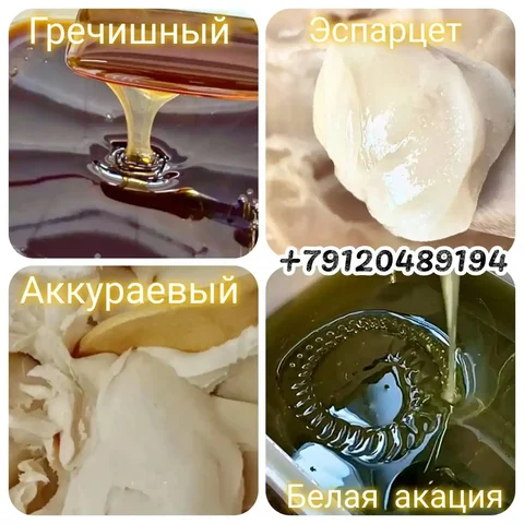 Продажа мёда из Екатеринбурга - Электротранспорт в Екатеринбург