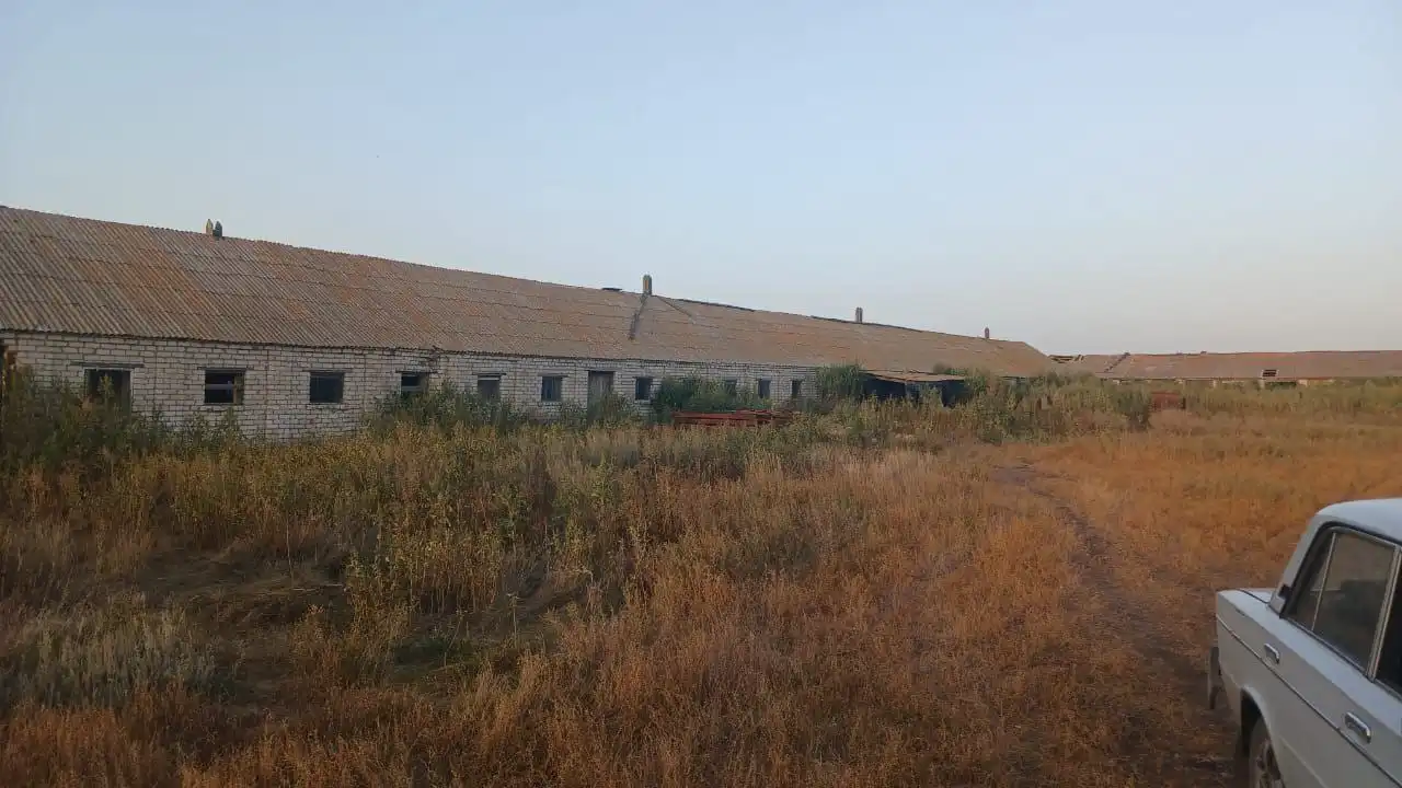 Продажа фермы в Волгоградской области для разведения КРС, свиней и откорма быков