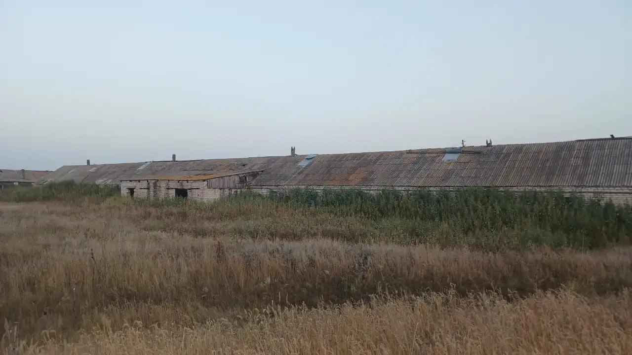 Продажа фермы в Волгоградской области для разведения КРС, свиней и откорма быков