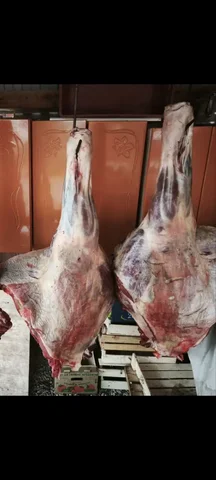 Продам части конины (передняя и задняя) - Косметика в Самарская область