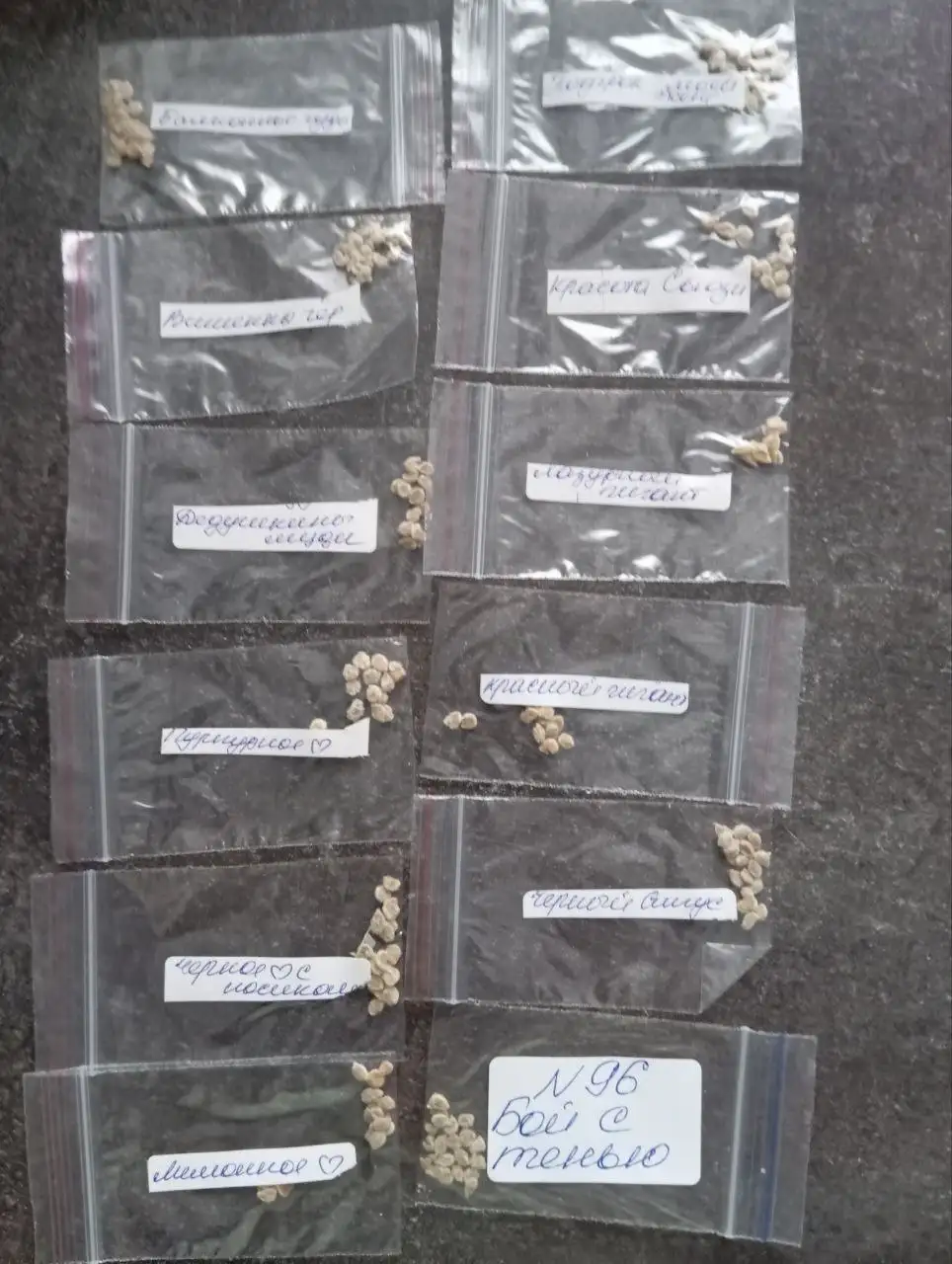 Набор семян томата из 12 сортов с подарком - Барахолка в Александровское поле