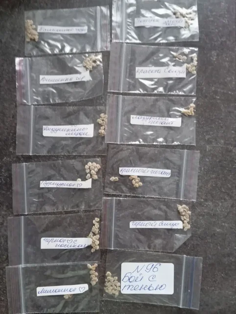 Набор семян томата из 12 сортов с подарком - Барахолка в Александровское поле