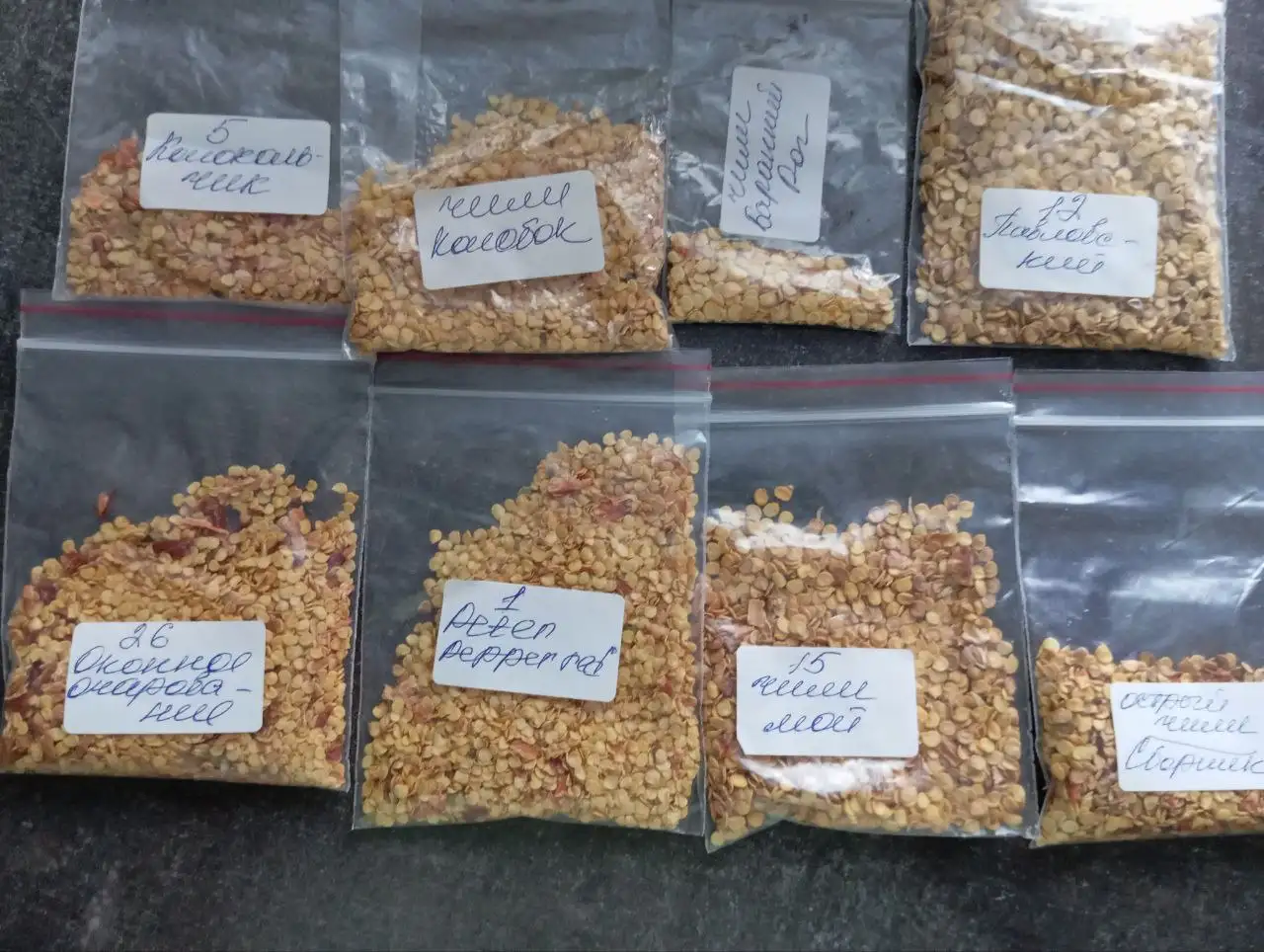 Набор семян томата из 12 сортов с подарком - Барахолка в Александровское поле