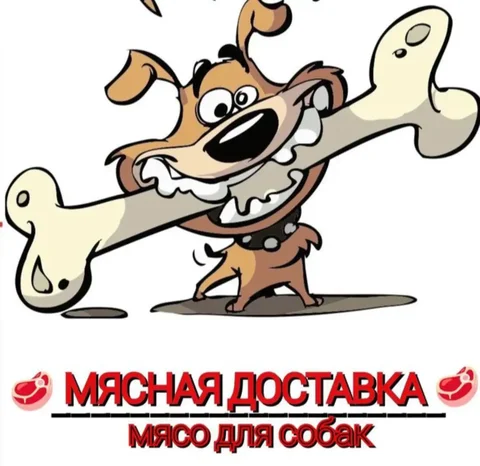 Свежее мясо для собак с доставкой - Поиск животных в Самарская область