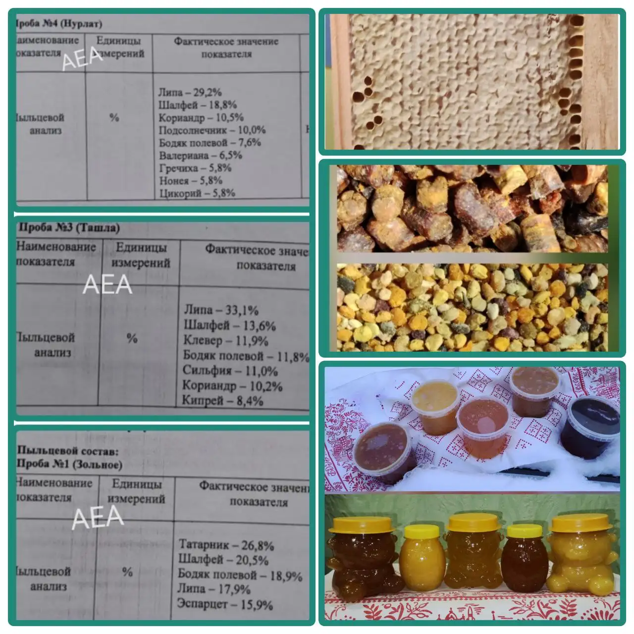 Продажа меда и пчелопродукции из Жигулевского заповедника - Продукты питания (Барахолка) в Неизвестно