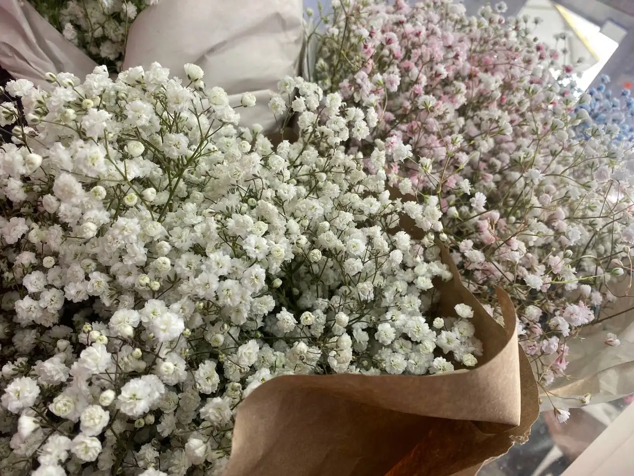 Свежие цветы и идеальные букеты - Цветы (Барахолка) в Самарская область