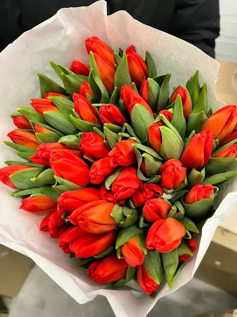 Тюльпаны к 8 марта в Самаре - Профессиональное оборудование в Самара