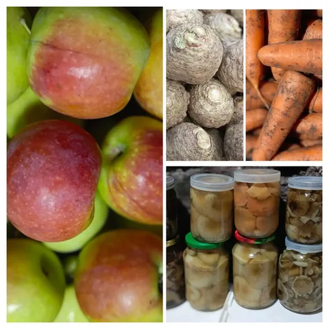 Продажа яблок сорта Синап и овощей в Ульяновской области - Барахолка в Вязовка