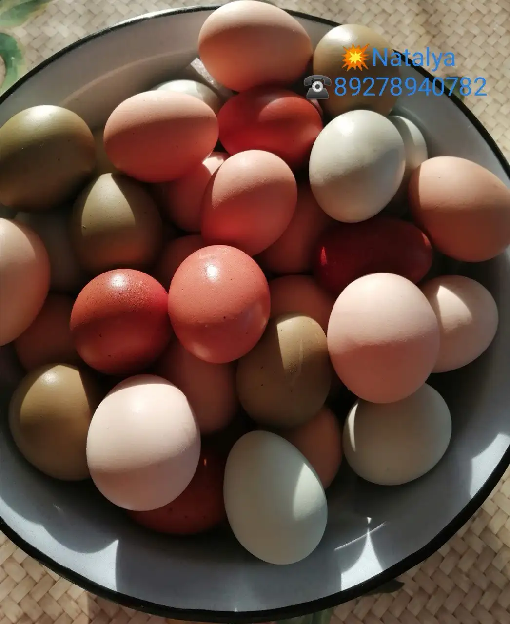 Продажа инкубационного яйца кур несушек различных пород - Птицеводство (Животные) в Борское