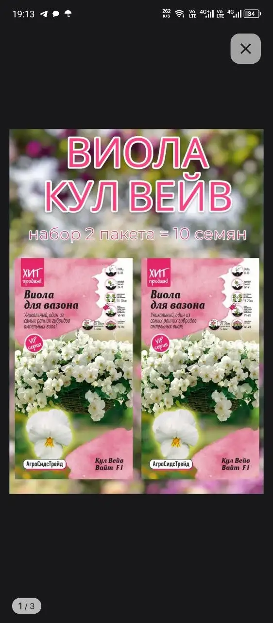 Продажа рассады виолы ампельной и обычной - Растения и семена (Хобби и отдых) в Неизвестно