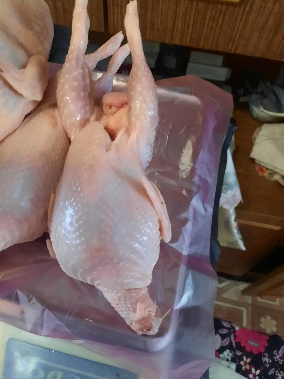 Перепела Серебристый бройлер - Птица (Животные) в Самара