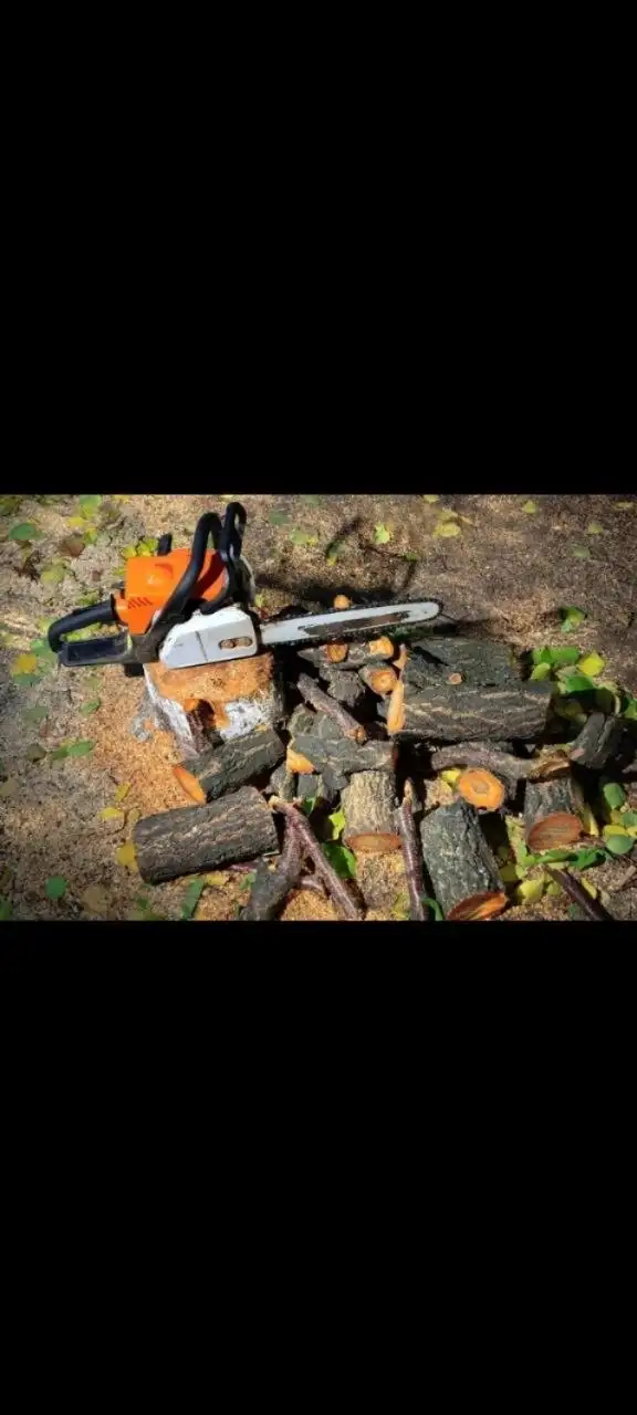 Услуги по спилу и распилу деревьев - Благоустройство территории (Услуги) в Самарская область