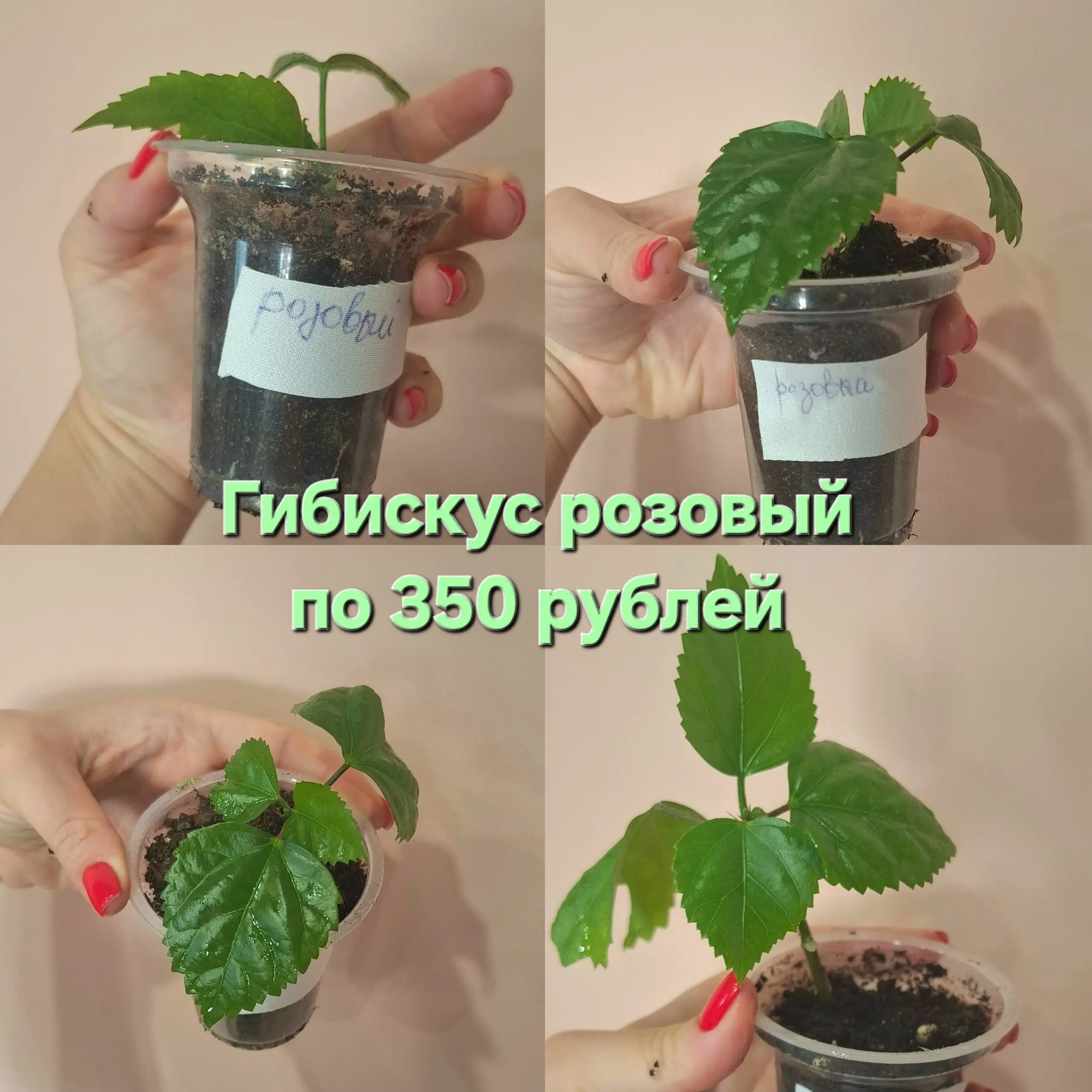 iPhone 13 - Смартфоны и гаджеты (Электроника) в Самара