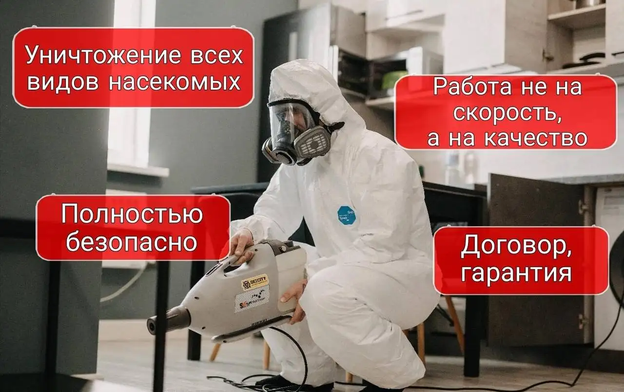 Услуги по травле насекомых, грызунов и устранению плесени - Дератизация и дезинсекция (Услуги) в Самара