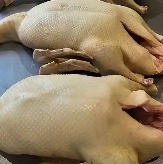 Продажа тушки рождественского гуся