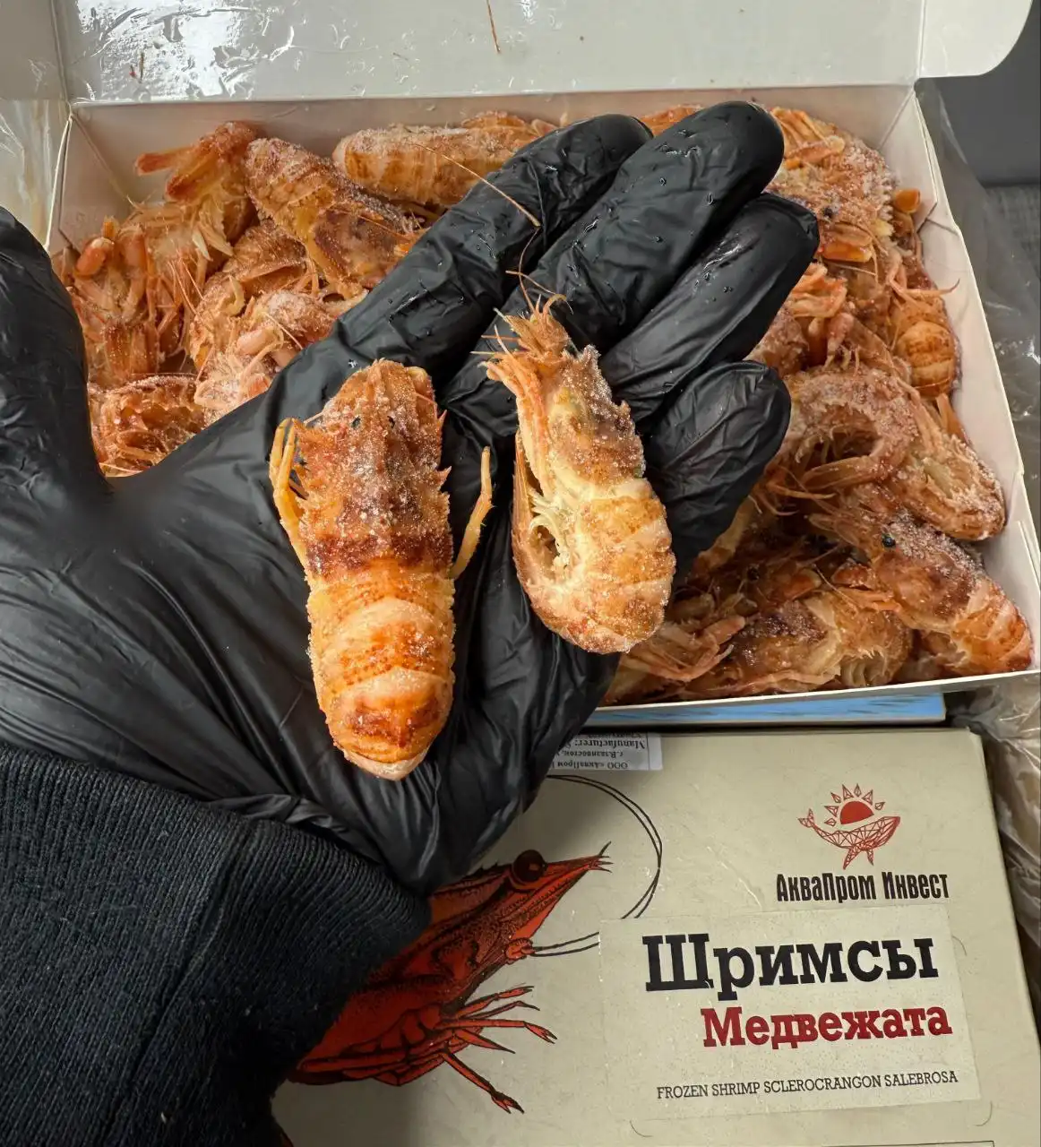 Креветки медвежата сухая заморозка - Барахолка в Самарская область