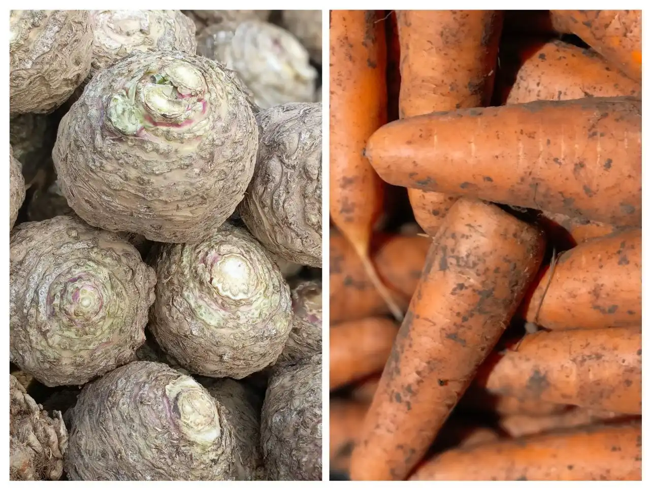 Продажа овощей и фруктов: сельдерей, морковь, яблоки - Продукты питания (Барахолка) в Сухая Вязовка