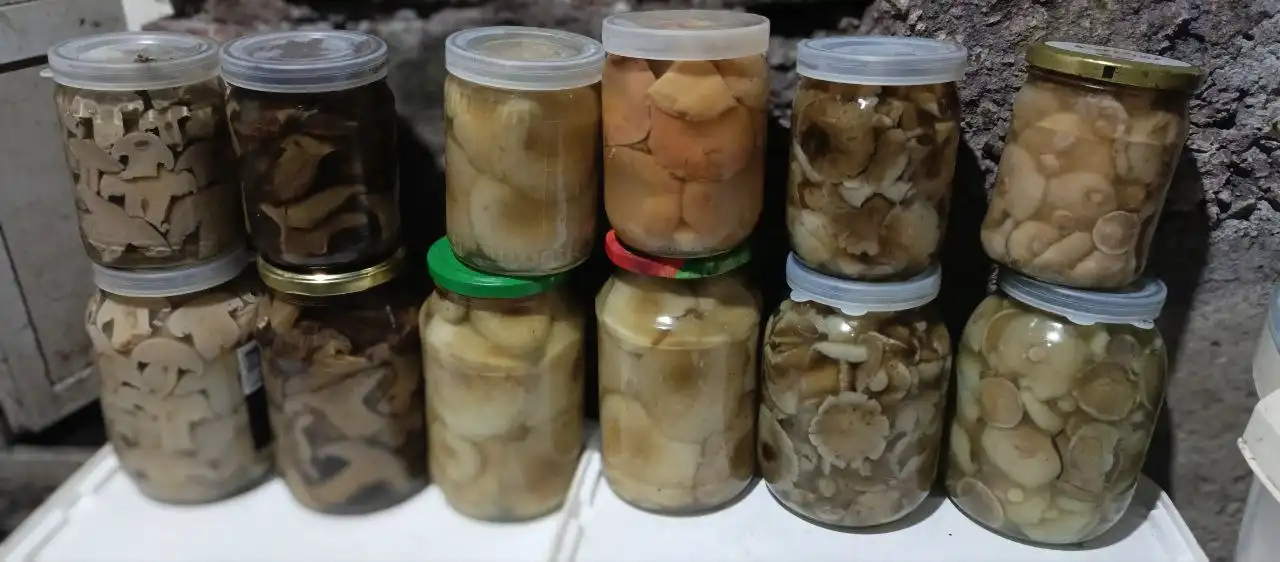 Грибы из Ульяновска - Продукты питания (Барахолка) в Ульяновск