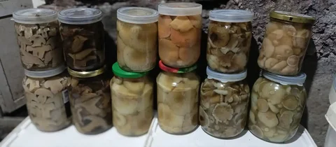 Грибы из Ульяновска - Еда в Ульяновск