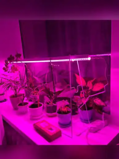 Фитолампа 20 Вт, длина 1200 мм, новые - Сад и огород (Барахолка) в Самарская область