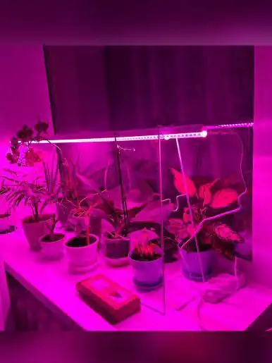 Светодиодные фитолампы для растений 20Вт 1200мм - Растения и сад (Барахолка) в Самарская область