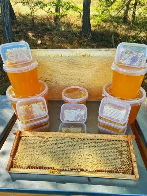 Мед с пасеки из заповедной зоны - Еда в Самарская область