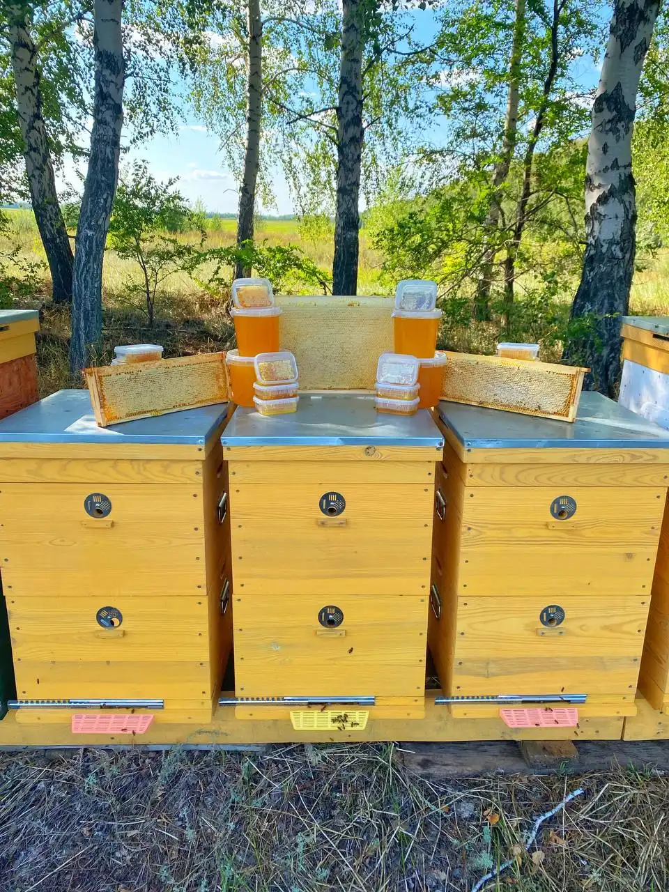 Мед с пасеки из заповедной зоны - Барахолка в Самарская область