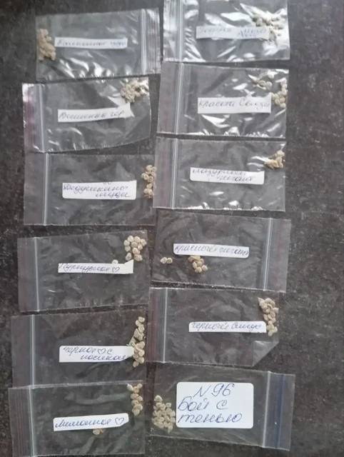 Семена томатов и перцев с доставкой - частное объявление в Александровское поле