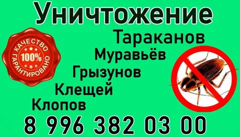 Профессиональная дезинфекция и уничтожение вредителей - Работа в Новосибирск