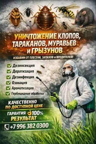 Услуги дезинсекции, дератизации и дезинфекции - Услуги в Новосибирск