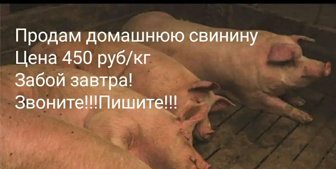 Продажа товаров в селе Нижегородка Уфимского района