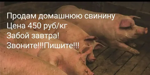 Продажа товаров в селе Нижегородка Уфимского района - Барахолка в Уфа