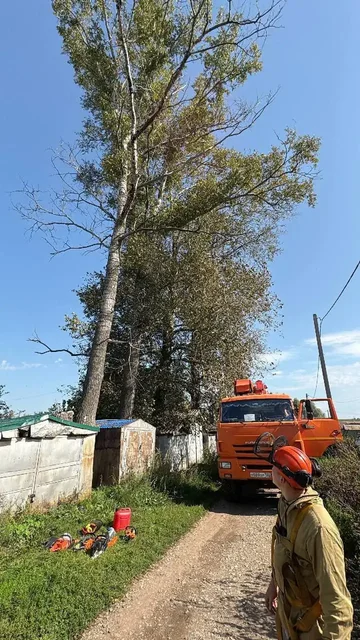 Услуги по спилу деревьев в Уфе - Услуги в Уфа