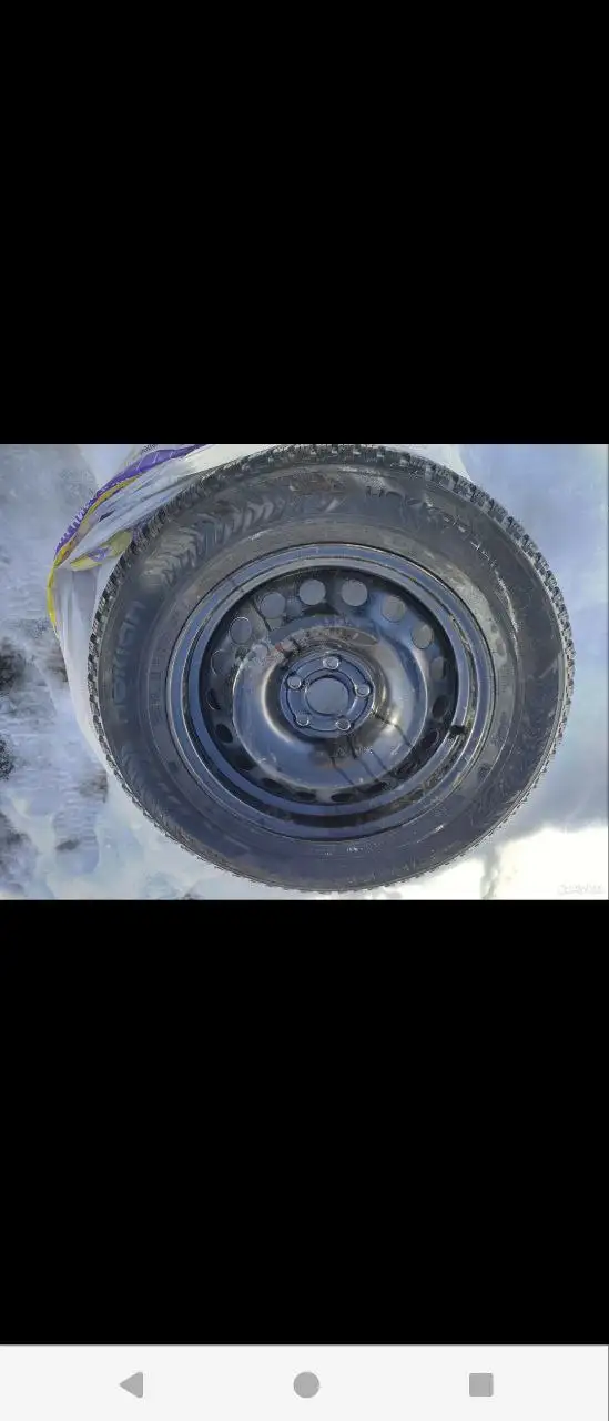 Комплект Nokian Hakapelitta 8 205/65 R16 с дисками в отличном состоянии - Шины и диски (Запчасти) в Уфа