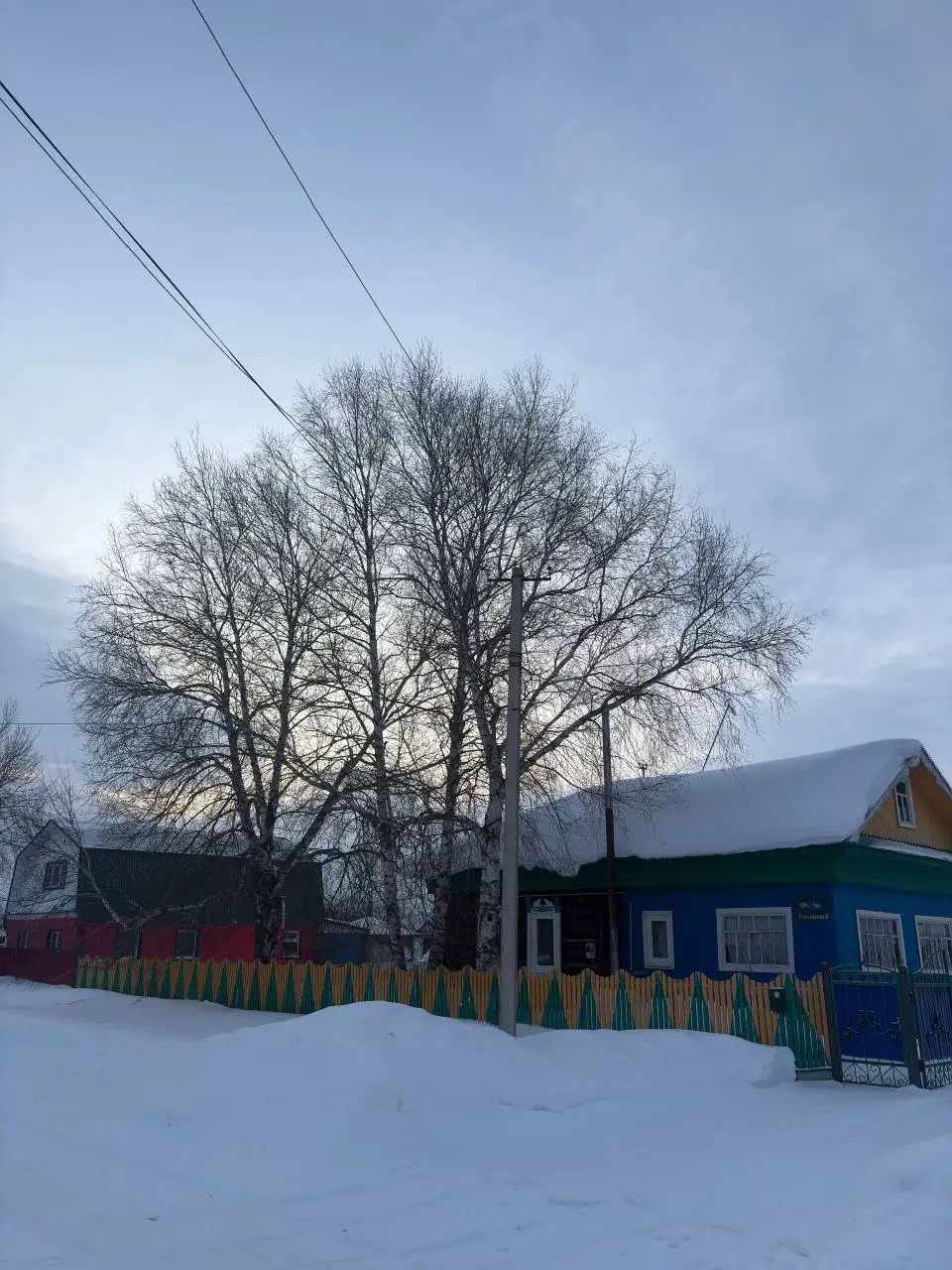 Услуги по спилу и обрезке деревьев - Бытовые услуги (Услуги) в Уфа