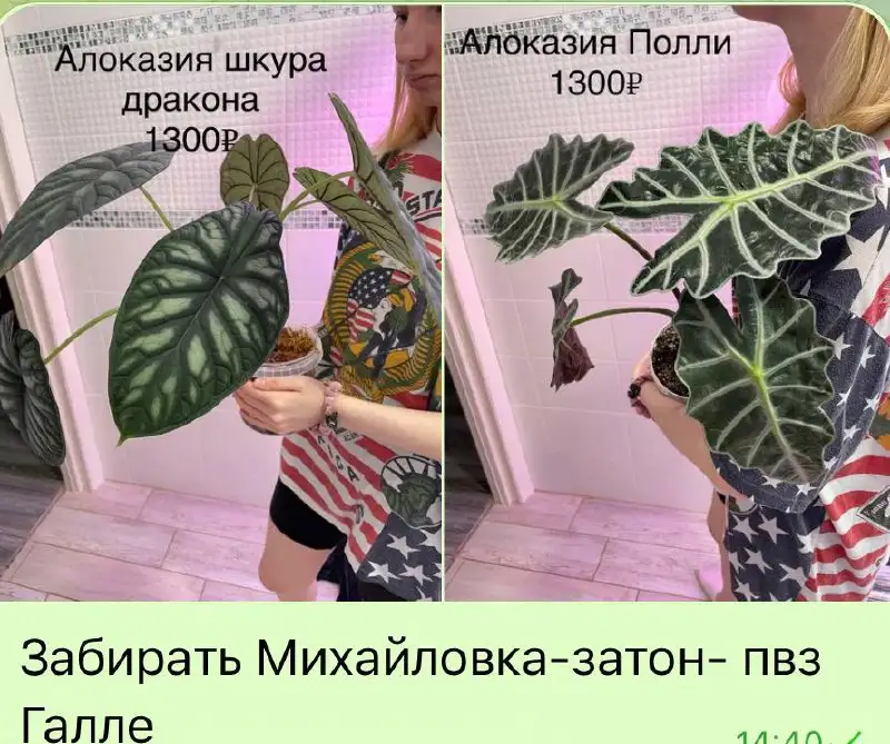 Отличный вариант подарка на 8 марта - Барахолка в Уфа