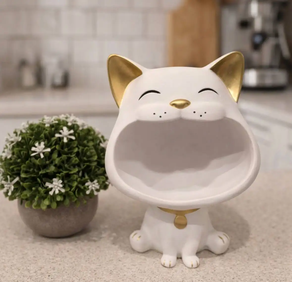 Продажа кота конфетницы - Животные в Уфа