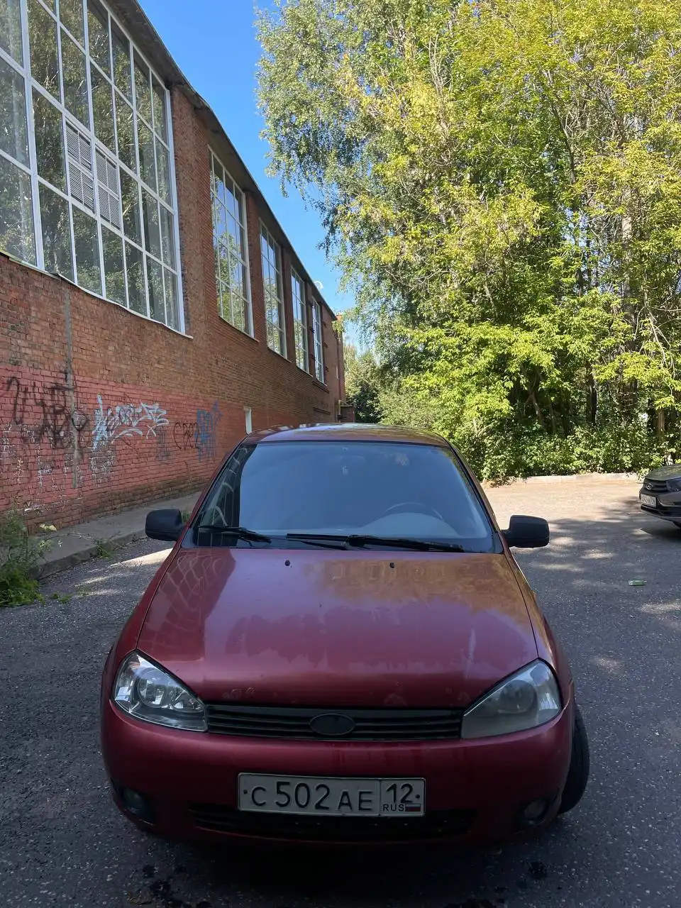 Калина 2010 год