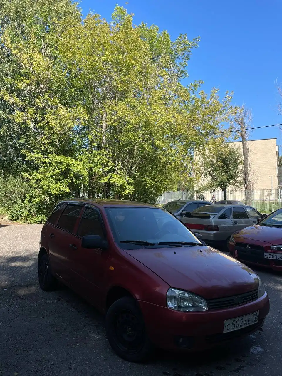 Калина 2010 год