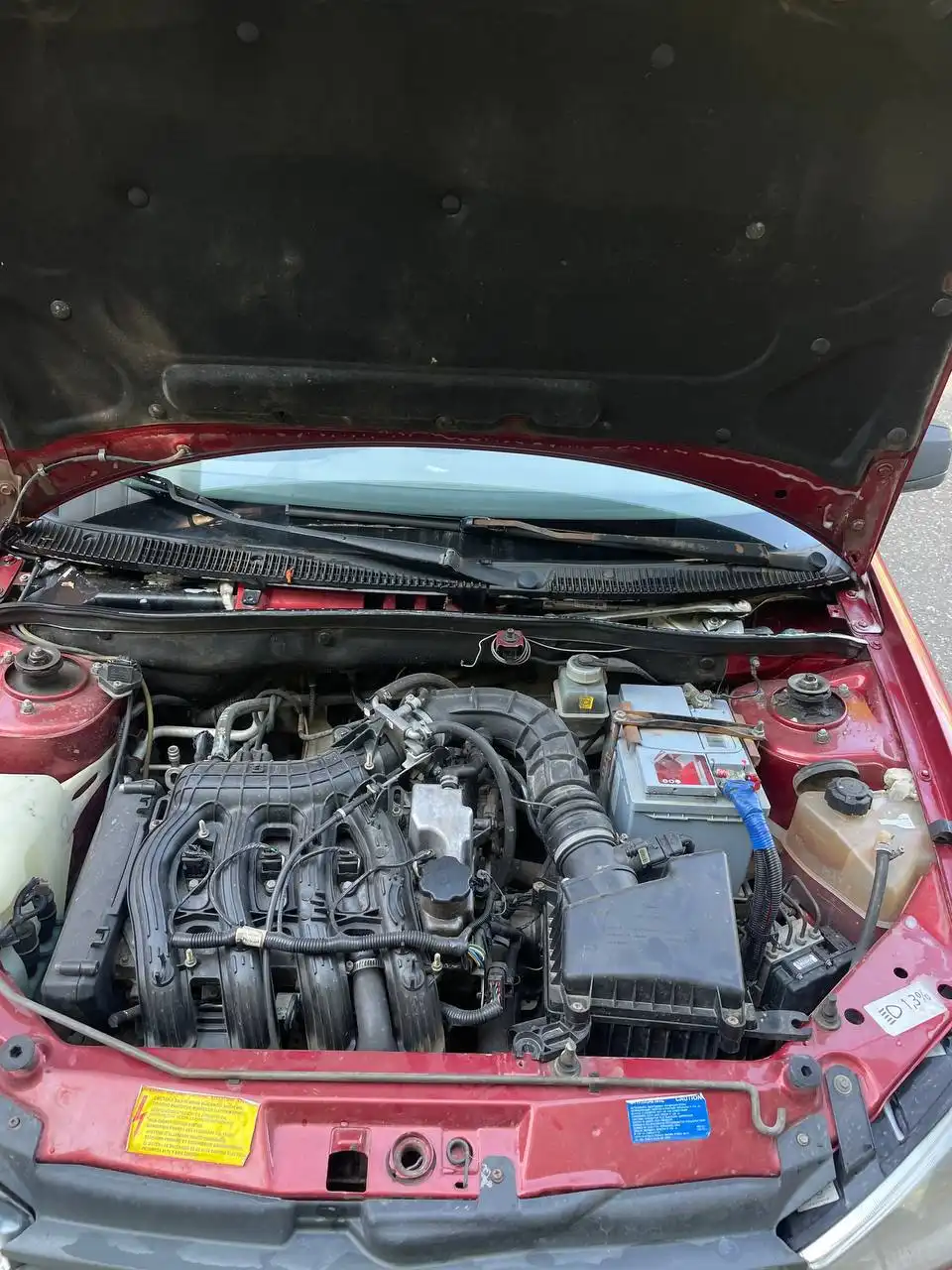 Калина 2010 год