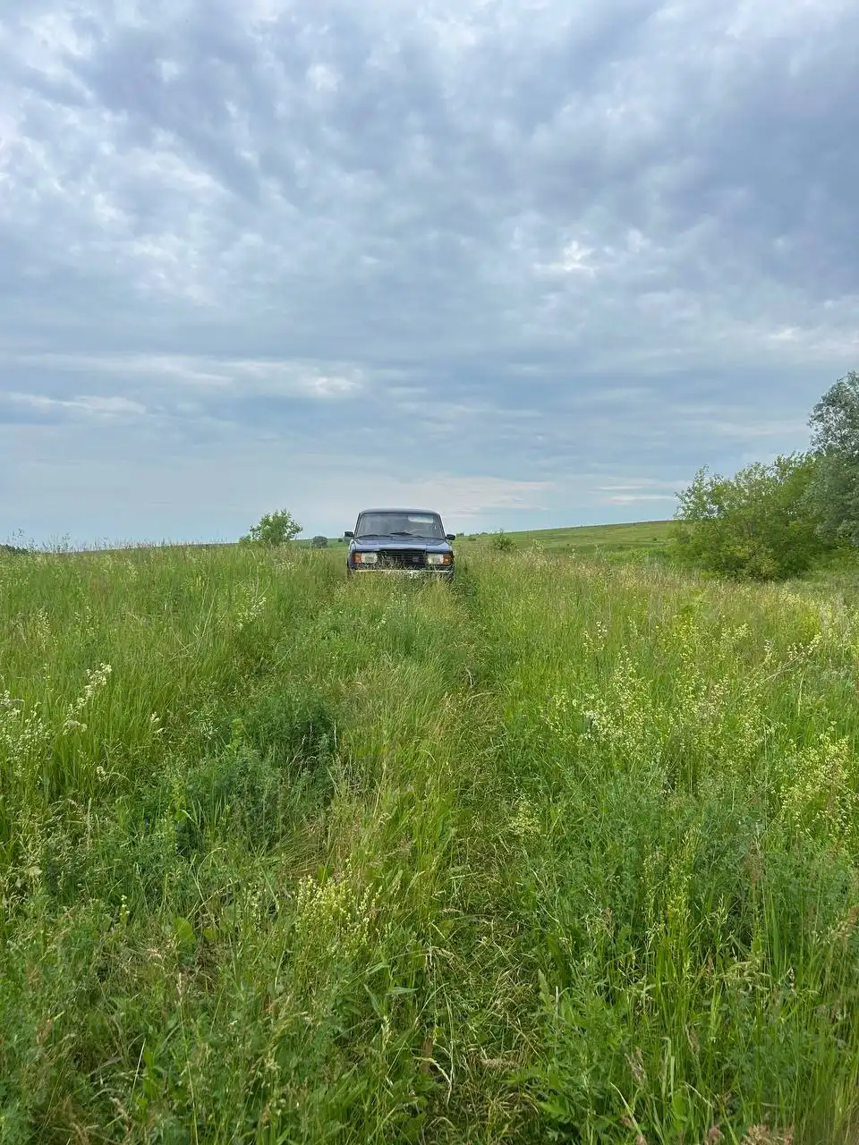 Продажа двух жиг