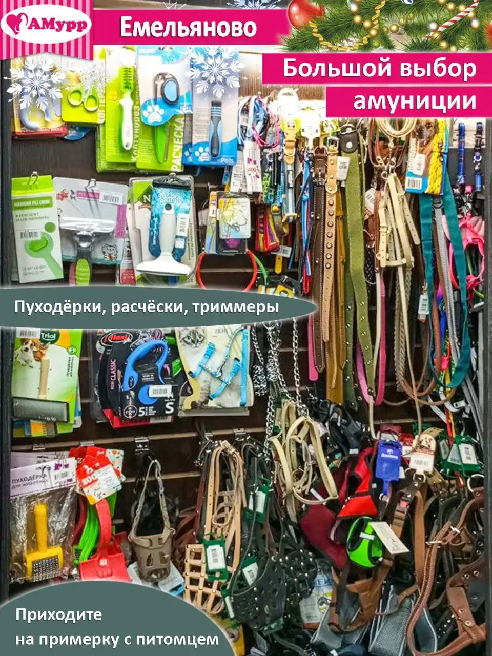 Зоомагазин АМурр в Емельяново