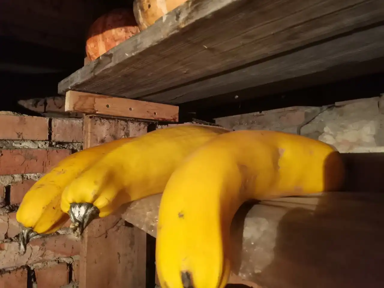 Остатки кабачков