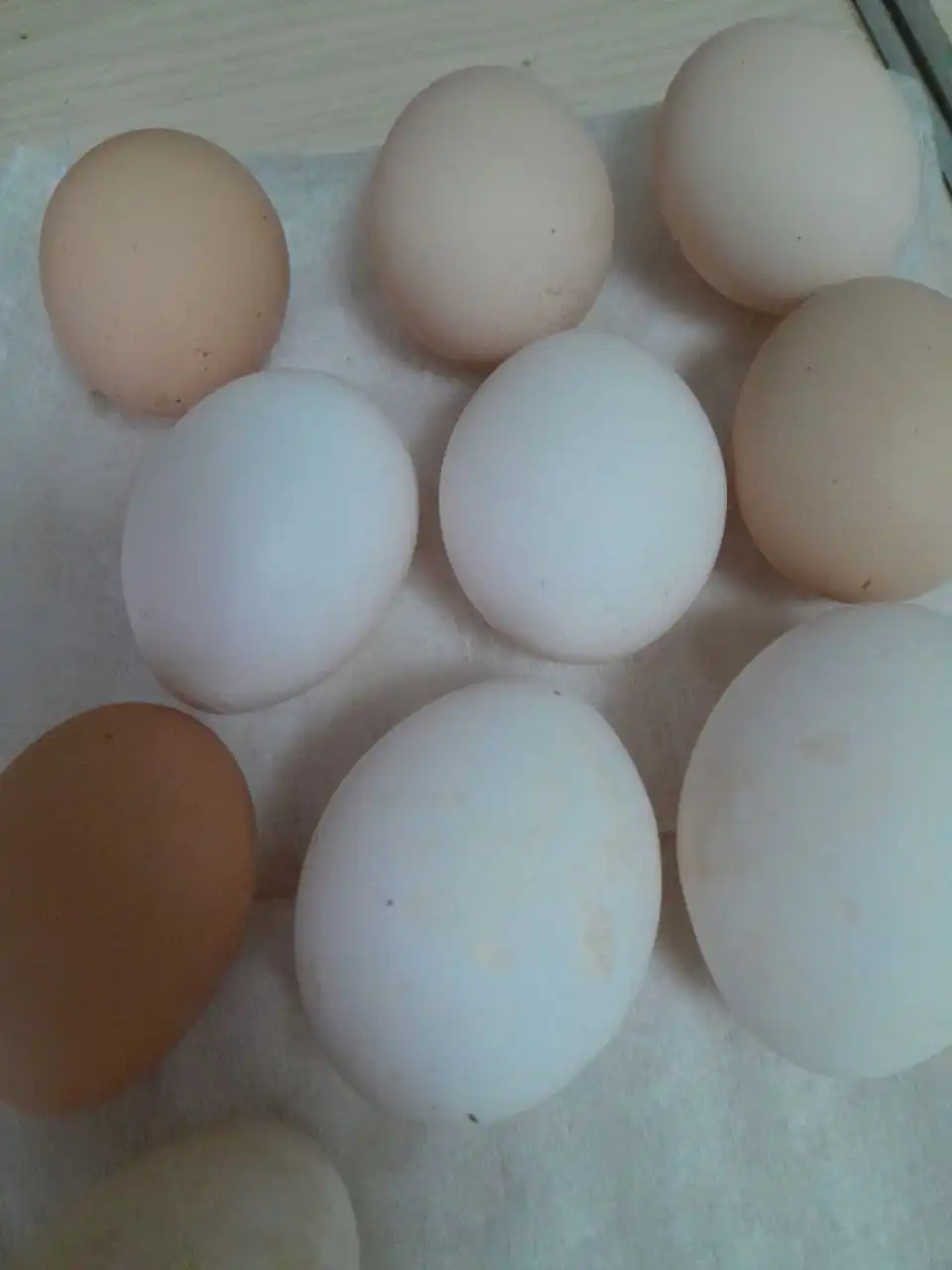 Продажа в Емельяново