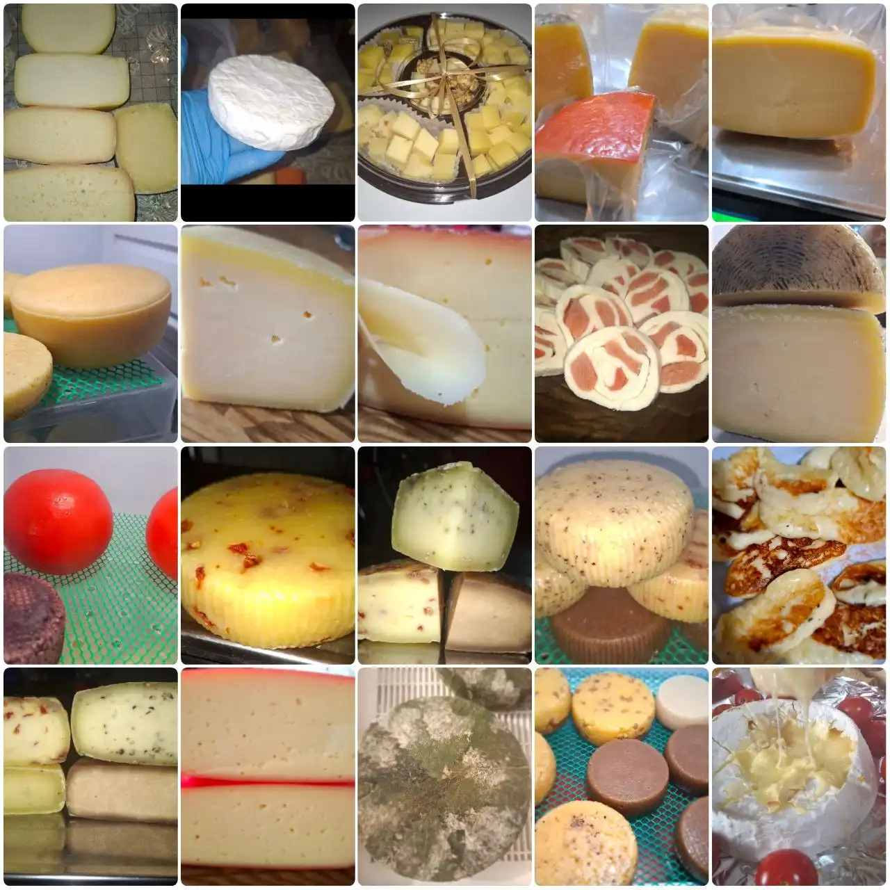 Продажа домашних сыров - Продукты питания (Хобби и отдых) в Красноярск